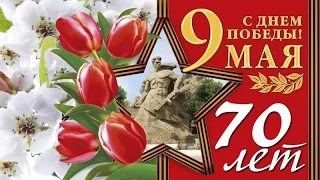 9 мая. Концерт на площади Победы (2015 год)