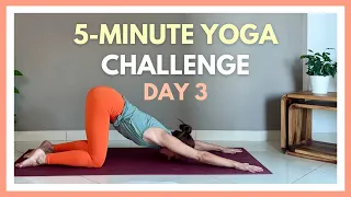 5-minute Yoga Stretch ✨ "5 is enough!" 7 Day Yoga Challenge