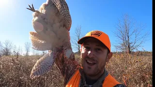 We get on the PHEASANT in PENNSYLVANIA! (State Gamelands)