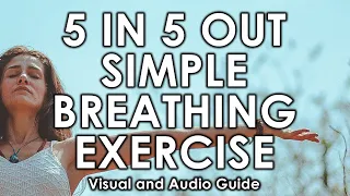 🧘‍♂️ Simple 1-1 Breathing Exercise | 5 Seconds In 5 Seconds Out | [20 Minutes] 🎧 Audio and Visual 🌻