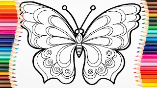 Butterfly Set. How to Draw a Butterfly.