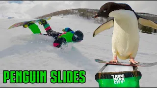 Penguin Sliding on Snow! //  Snowboarding PICK AXE Terrain Park , UTAH