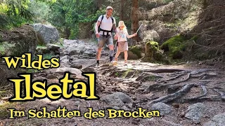 Wanderwege Harz - Wildes Ilsetal | 26km Wanderung unterhalb des Brocken | Harzer Wandernadel |