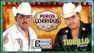 El compa Chuy vs el Tigrillo Palma