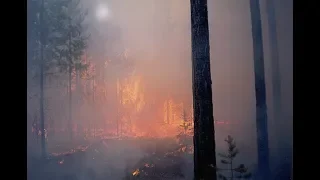 Житель Красноярского края проехал через эпицентр лесного пожара
