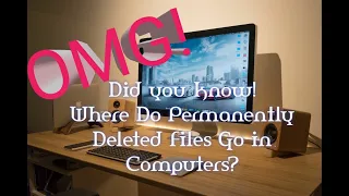 Where Do Permanently Deleted Files Go in Computers?