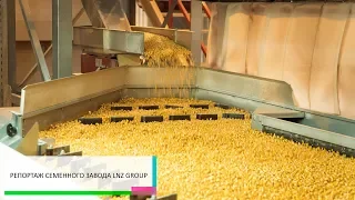 Удосконалення насіння: як створюють посівний матеріал кукурудзи на ЛНЗ