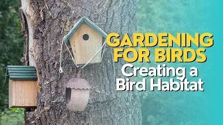 Gardening for Birds: Creating a Bird Habitat