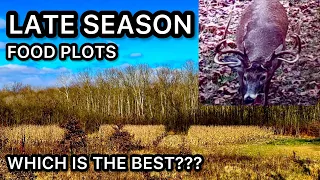 THE BEST LATE SEASON FOOD PLOT FOR DEER HUNTING!!!