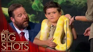 6-year-old Charlie wraps the World's 4th Biggest Snake around himself