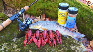 Trout & Crawfish Catch n' Cook at Remote Mountain Waterfalls!