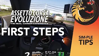 How To Install Assetto Corsa Evoluzione (and get to the first race)