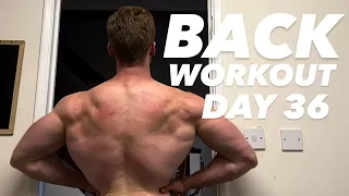 The Natural Road  DAY 36  BACK DAY WORKOUT