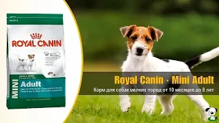 Сухой корм для собак мелких пород от 10 месяцев до 8 лет · Royal Canin Mini Adult