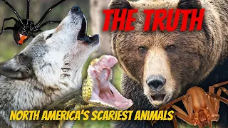 The TRUTH about North America's scariest animals | Full guest lecture UVU