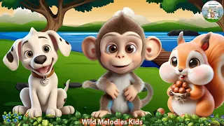 Cute Little Animals Making Funny Sounds:  Dog, Monkey, Squirrel - Animal Videos