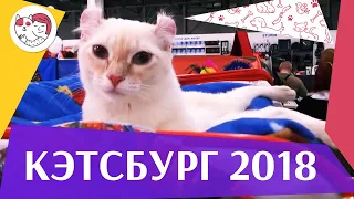 Выставка Кэтсбург - 2018