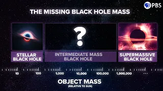 Why Don't We See THIS TYPE of Black Hole?