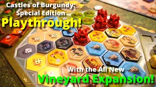 Castles of Burgundy: Special Edition Playthrough With the New Vineyard Expansion