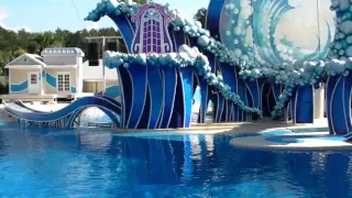 Blue Horizons @ SeaWorld Orlando (Full Show) HD