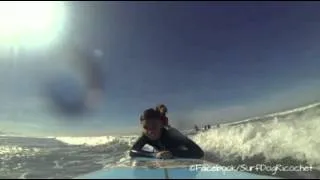 Surf dog Ricochet grants Make-A-Wish for Caleb