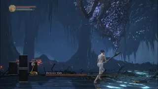 Darkeater Midir SL1 NG+7 no roll/block/parry (no rings/buffs)