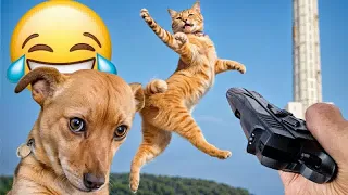 Cute animal Videos That You Just Can't Miss😻🐕‍🦺Part 7