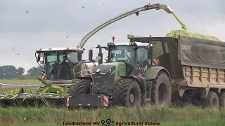 Claas - Fendt - Krampe / Maissilage - Silaging Maize  TB