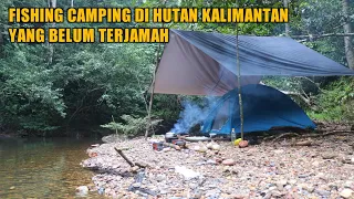 Fishing and camping In the untouched forest, harvest lots of fish /eps 11