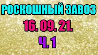 🌸Продажа орхидей. ( Завоз 16. 09. 21 г.) 1 ч. Отправка только по Украине. ЗАМЕЧТАТЕЛЬНЫЕ КРАСОТКИ👍