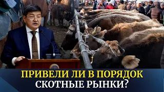 Привели ли в порядок скотные рынки?