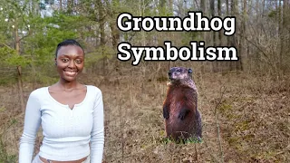 Groundhog Spirit Animal Totem