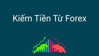 Đầu tư forex | Có thể kiếm tiền từ forex không