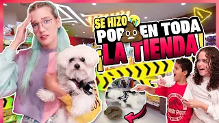 COMPRO TODO LO QUE MI PERRO TOCA EN LA TIENDA 💩🐶 *TODO SALIO MAL* 😱 | Mari Wolf