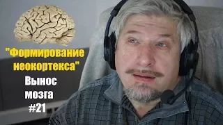 Формирование неокортекса. Сергей Савельев (Вынос мозга #21)