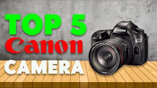 Best Canon Camera 2024 [Don't Buy Until You WATCH This!]