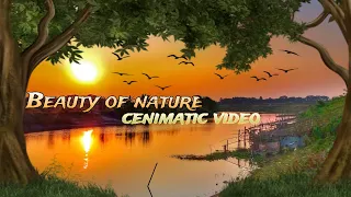 Discover the Beauty of Nature with a Cenimatic Video. #cenimaticvideo #beauty #nature #naturebeauty.