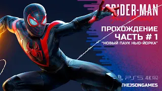 Spider-Man Miles Morales / Майлз Моралес ➤ Прохождение #1 ➤ Новый паук Нью-Йорка ✪ PS5 [4K] RTX