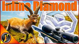 The Hunt for a Diamond with the Inline Muzzleloader!