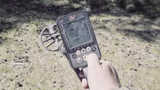 Minelab Equinox 800 - тестирую легенду на новые цели! #кладоискатель #металлоискатель