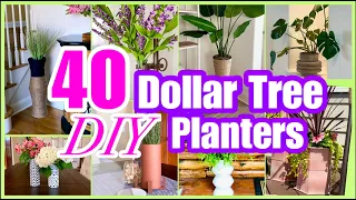 40+ DOLLAR TREE PLANTERS + VASES DIY DECOR!