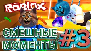 КОТИК ИГРОМАН И КОТЁНОК ЛАЙК//СМЕШНЫЕ МОМЕНТЫ #3