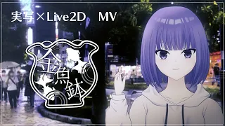 [Live2D×実写]金魚鉢[オリジナルMV]#Live2D_2022