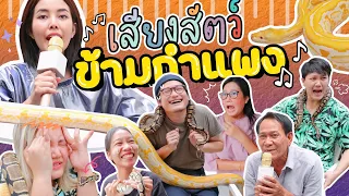 เสียงสัตว์ข้ามกำแพง 😜 เอางูเหลือมมาแกล้งคนที่บ้าน 🐍 l Bew Varaporn