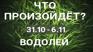 ВОДОЛЕЙ🍀 Прогноз на неделю (31.10-6.11). Расклад от ТАТЬЯНЫ КЛЕВЕР. Клевер таро.