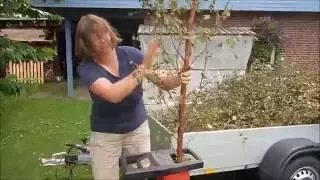 Gartenabfälle schreddern mit dem Leisehäcksler