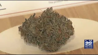 CCC to review regulations that allow social consumption, home delivery of marijuana