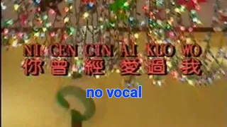 你曾经爱过我 Ni Ceng Jing Ai Guo Wo 伴奏 karaoke 小黑 Xiao Hei