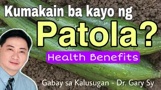 Patola: Health Benefits - Dr. Gary Sy
