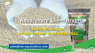 Reduce Mortality with MOS - PREBIOTICS |  Aquaculture Chemistry